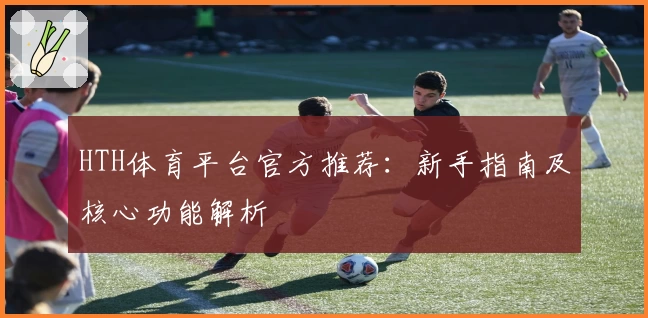 HTH体育平台官方推荐：新手指南及核心功能解析